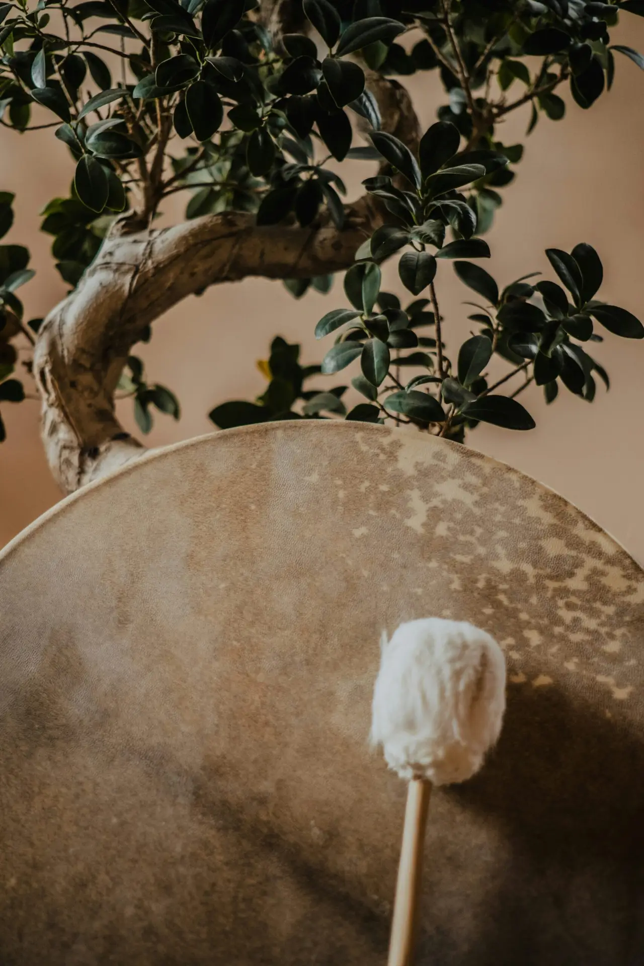 tamas sandor cvibbqe53dm unsplash